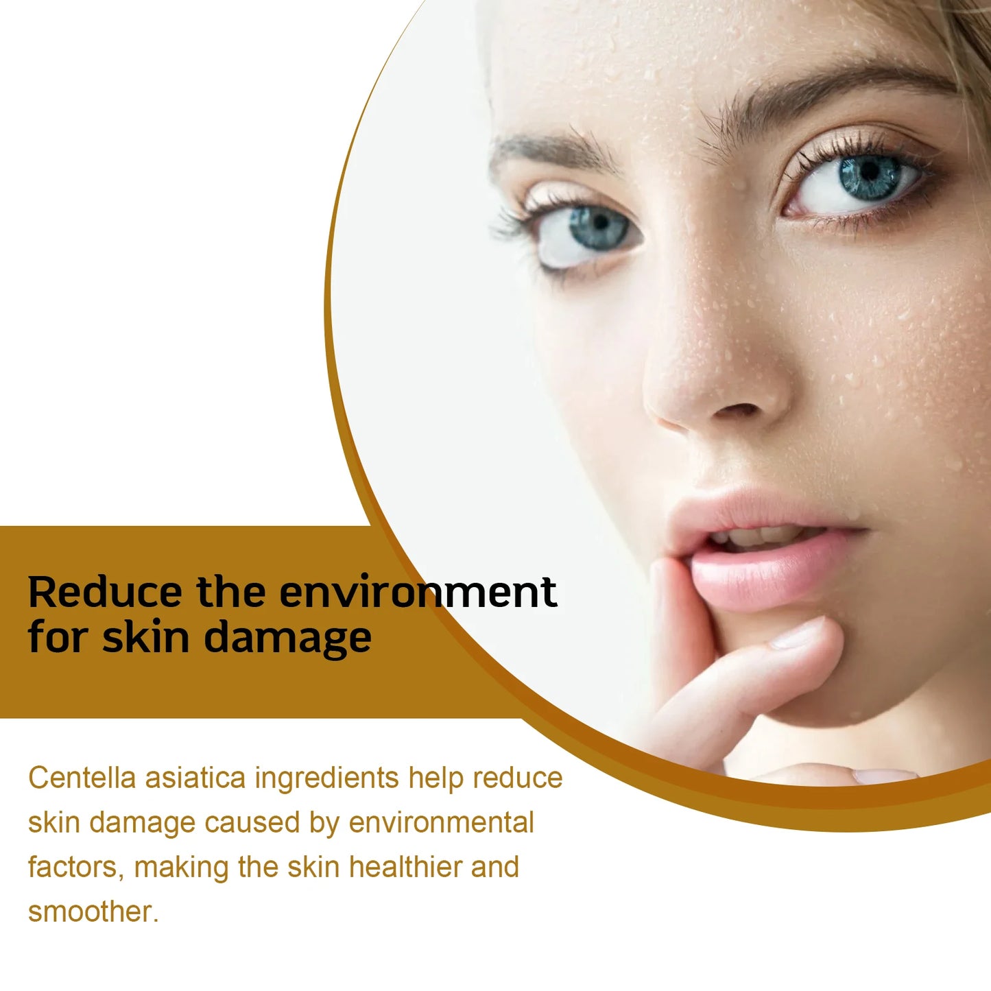 Centella Skincare Hydrating & Repair Kit